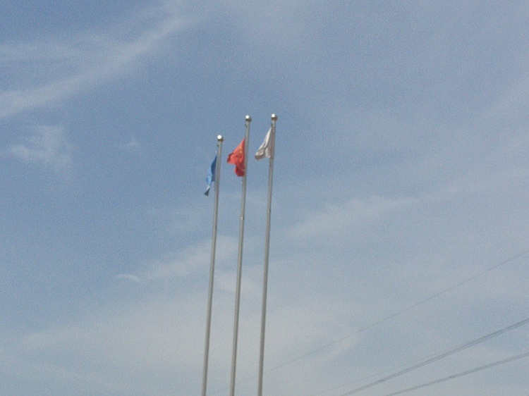 長(zhǎng)風(fēng)破浪在今日，云帆直掛展宏圖